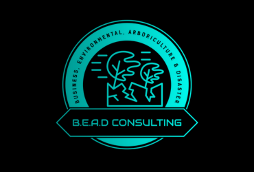 B.E.A.D Consulting