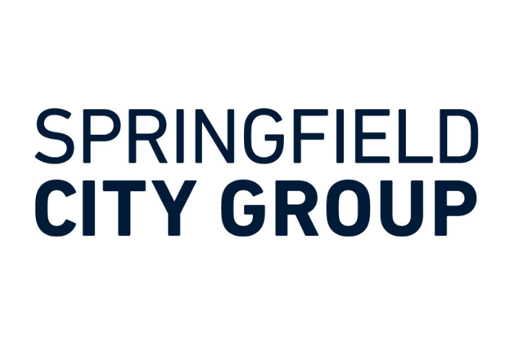 Springfield City Group 3