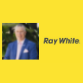 The Shane Boyd Team – Ray White Springfield & Springfield Lakes